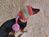 Winter knitted hat for small dog,hat for dog