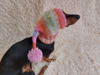 Winter knitted hat for small dog,hat for dog