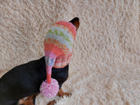 Winter knitted hat for small dog,hat for dog