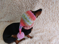 Winter knitted hat for small dog,hat for dog