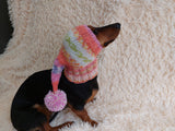 Winter knitted hat for small dog,hat for dog