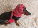 Christmas elf hat for dachshunds or small dogs, Dog Elf Hat, Dog Christmas Hat, Santa Dog Hat, Elf Dog Outfit, doxie clothes, doxie hat