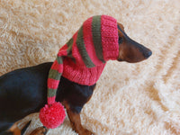 Christmas elf hat for dachshunds or small dogs, Dog Elf Hat, Dog Christmas Hat, Santa Dog Hat, Elf Dog Outfit, doxie clothes, doxie hat