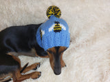 Pet clothes bee hat, bee hat for dogs, halloween bee hat for dachshund dog