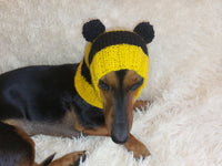 Knitted bee cap for small dog with handmade pompoms