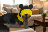 Knitted bee cap for small dog with handmade pompoms