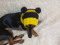 Knitted bee cap for small dog with handmade pompoms