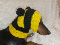 Knitted bee cap for small dog with handmade pompoms