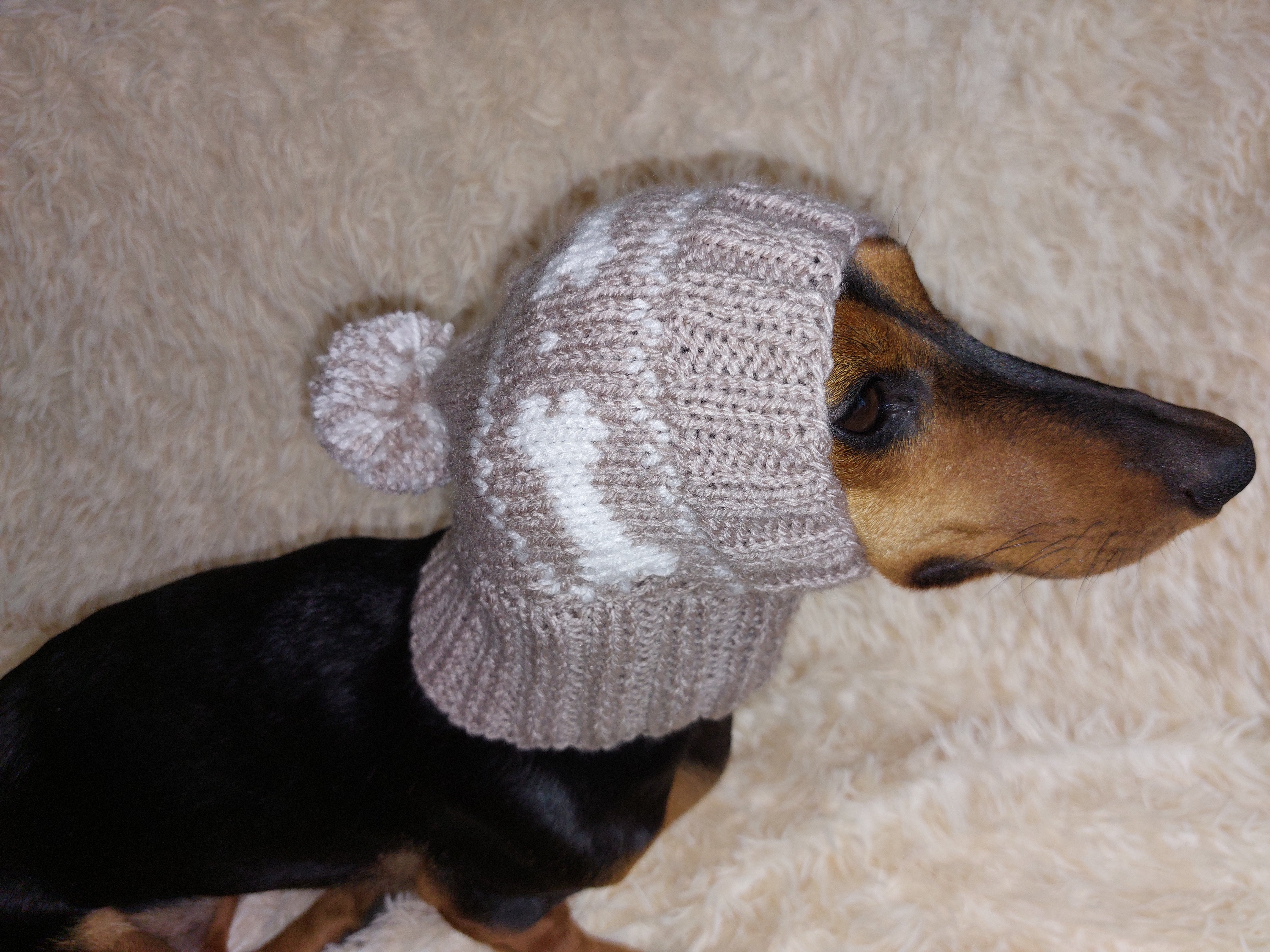 SHOMKA linen puppy snowボンネット 49 cm ASH generation puppy 