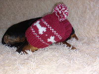 Pet Clothes Boned Hat with Pompom,Bone Dog Hat,Halloween Bonnet Hat for Dachshund Dog