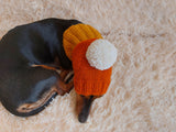 Candy Corn Dog Hat,hat for dog popcorn, halloween hat for dog popcorn, hat for dachshund popcorn