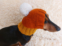 Candy Corn Dog Hat,hat for dog popcorn, halloween hat for dog popcorn, hat for dachshund popcorn