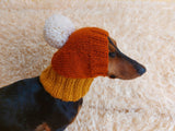 Candy Corn Dog Hat,hat for dog popcorn, halloween hat for dog popcorn, hat for dachshund popcorn