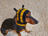 Knitted bee cap for small dog with handmade pompoms