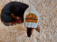 Original Pet Hat with Sandwich Hat for Dog Food Burger Hamburger