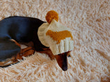 Handmade knitted dachshund hat for dogs, clothes for dogs hat with dachshund, gift for dachshund lover