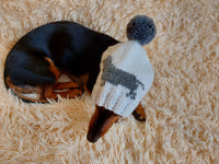 Handmade knitted dachshund hat for dogs, clothes for dogs hat with dachshund, gift for dachshund lover