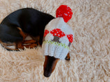 Fly agaric mushroom pet hat, Halloween amanita mushroom dog clothes