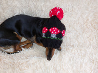 Fly agaric mushroom pet hat, Halloween amanita mushroom dog clothes