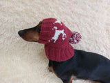 Christmas Reindeer Clothes Pom Pom Hat Dachshund Reindeer Hat Knitted Dog Reindeer Hat Party Photo Prop