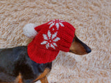 Christmas pet clothing with snowflakes, snood hat with snowflakes for dog