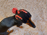 Christmas clothes for pets, snood hat Christmas photo shoot for dog