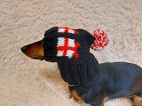 Christmas gift clothes for pets, snood hat with gifts for dog, Christmas clothes photo shoot for dog