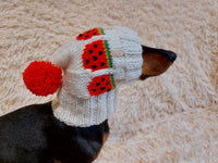 Pet clothes hat snood watermelon ice cream for dog