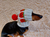 Pet clothes hat snood watermelon ice cream for dog