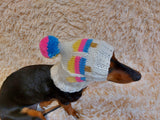 Pet clothes hat snood ice cream for dog