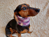 Scarf snood for dog, scarf snood for small dogs, snood for dachshund, scarf for dachshund