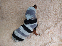 Suit for mini dachshund sweater and hat,knitted suit sweater and hat for dachshund or small dog, suit set sweater and hat for dog