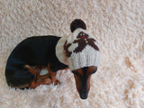 Christmas snood hat for dog with cookies