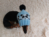 Handmade knitted panda hat for dachshund dog