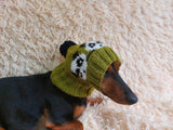 Handmade knitted panda hat for dachshund dog