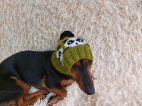 Handmade knitted panda hat for dachshund dog