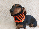 Halloween bee warm winter woolen snood for a dog - warm snood for a dog with a braid on the neck - clothes for a dachshund, warm snood