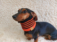 Halloween bee warm winter woolen snood for a dog - warm snood for a dog with a braid on the neck - clothes for a dachshund, warm snood