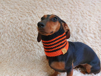 Halloween bee warm winter woolen snood for a dog - warm snood for a dog with a braid on the neck - clothes for a dachshund, warm snood