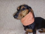 Warm winter woolen snood for dog - warm snood for dog with braid on the neck - clothes for a dachshund