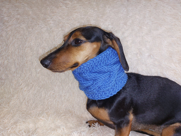 Warm winter woolen snood for dog - warm snood for dog with braid on the neck - clothes for a dachshund