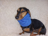 Warm winter woolen snood for dog - warm snood for dog with braid on the neck - clothes for a dachshund