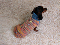 Wool Coat with Flowers and Ladybug for Pets - Winter Wool Sweater for Dogs with Collar - Dachshund Warm Clothes Jumper