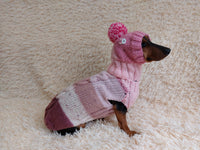 Wool coat with hat with rabbit for pets - winter wool suit for dogs - dachshund warm clothes set sweater and hat