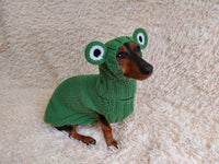 Pet Frog Costume - Halloween Costume Frog Sweater and Hat - Dachshund Frog Set for Dog Photo Shoot-Halloween dog costume for small dog Frog