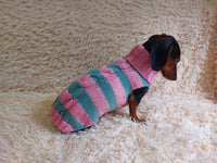 Warm Pet Clothes Small Dog Sweater, Dachshund Jumper