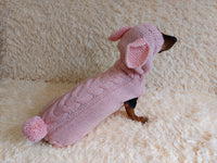 Alpaca Wool Rabbit Hooded Sweater for Pets,Easter Clothes Rabbit for Dogs