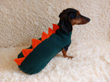 Dog dinosaur knitted clothes sweater, dinosaur sweater for dogs, original dog clothes dinosaur sweater