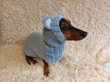 Bear costume made of alpaca wool for dogs, dachshund bear set sweater and hat