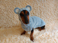 Bear costume made of alpaca wool for dogs, dachshund bear set sweater and hat